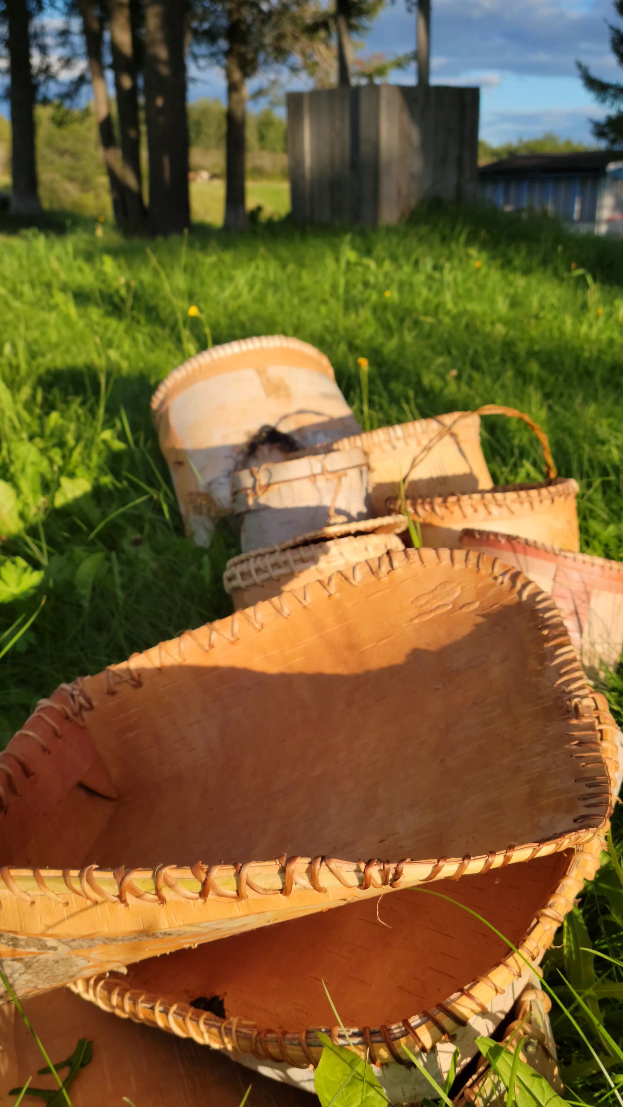 Paniers d'Écorce